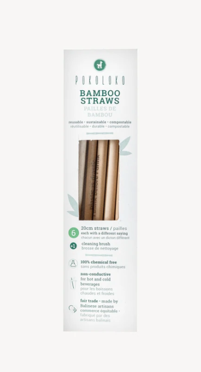 Bamboo Straws - Box of 6